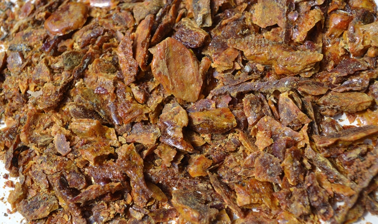 bienfait du miel propolis