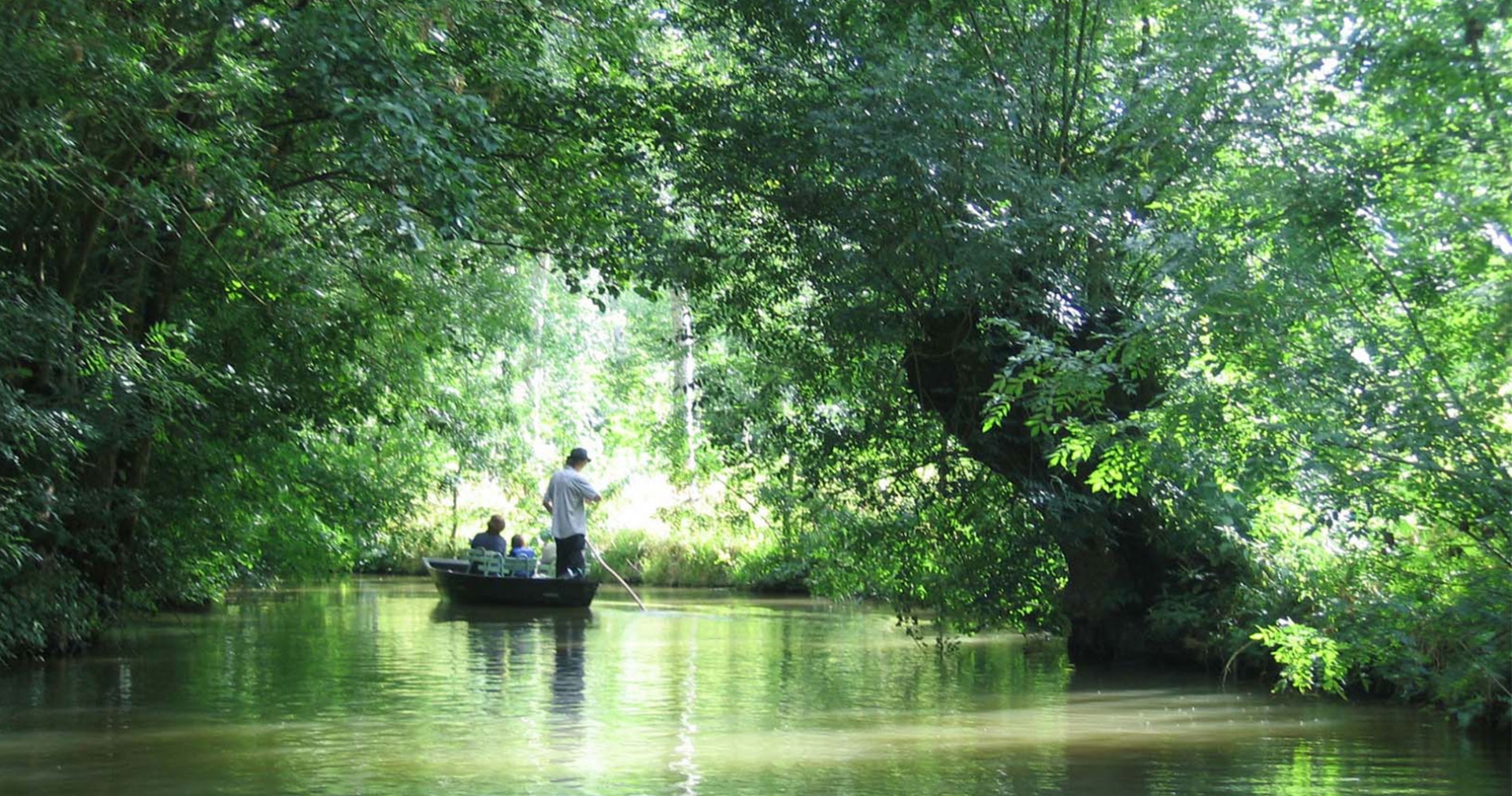 miel cretet charente