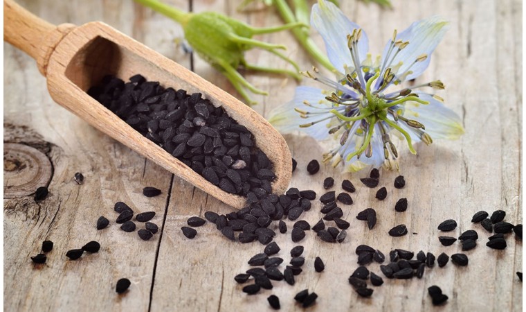 fleur de nigelle