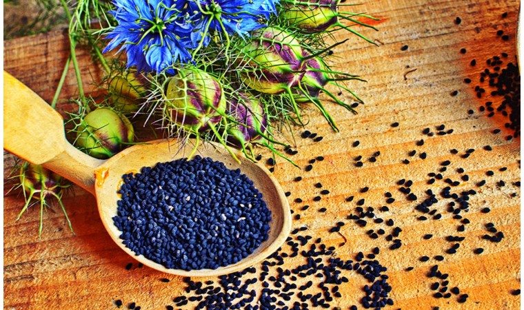 graine de nigelle